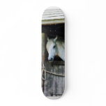 White Horse in Stable Skate Board