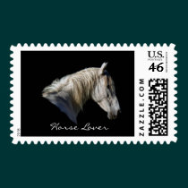 White Horse Lover Equine Postage Stamps stamps
