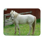 White Horse Magnet