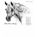 White Horse Ministry Riding Team T-Shirt