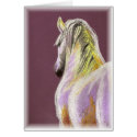 White Horse on Purple cards by foxbrush White Horse on Purple cards