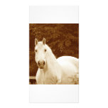 White horse photo card