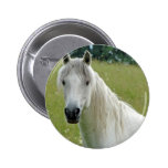 White Horse Pinback Button