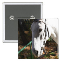 White Horse buttons