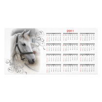 White Horse Portrait Calendar Photo Cards