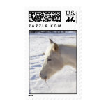 White Horse Stamp
