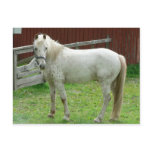 White Horse