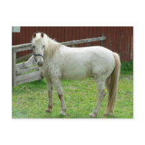 White Horse postcards by lifesphere White Horse postcards