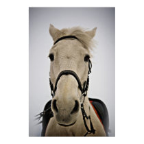White Horse posters