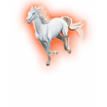 White Horse Running t-shirts