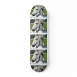 White Horse Skateboard