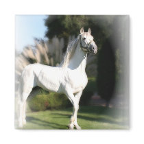 White Horse Square Magnet