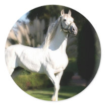 White Horse Sticker