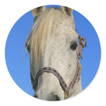 White Horse Sticker