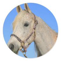White Horse Sticker