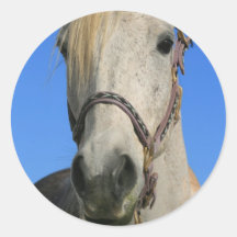 White Horse Sticker