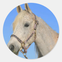 White Horse Sticker