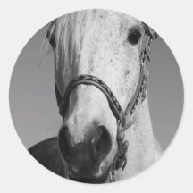 White Horse Sticker