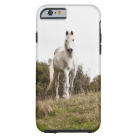 White horse tough iPhone 6 case