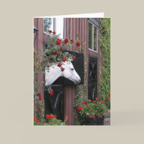 White Horse with Roses cards by BaetzStudios White Horse with Roses cards