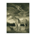 white horse woman postcards by Lady_Lilith white horse woman postcards