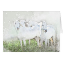 White Horses Greeting Cards