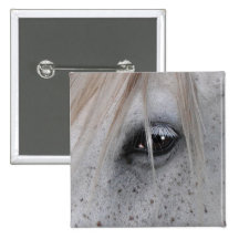 White Horse's Eye Equine Photography Pinback Button