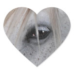 White Horse's Eye Equine Photography stickers
