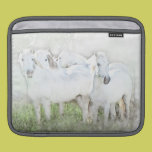 White Horses iPad and MacBook SLeeve ipad sleeves