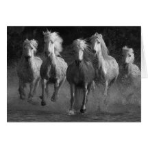 White Horses Run Horse Greeting Card