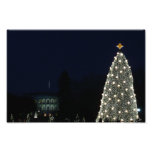 White House and National Tree Photo Print