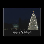 White House and National Tree Postcard