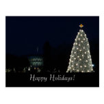 White House and National Tree Postcard