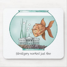 White House Fish Bowl Mouse Pads