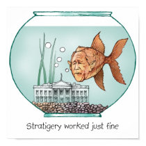 White House Fish Bowl posters