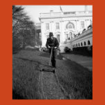 lawn, mow, reel, white house, washington dc,