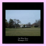 white house posters