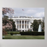 White House  Posters