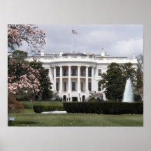 White House  Posters