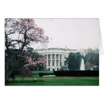 White House with Cherry Blossoms cards by aestheticchaos White House with Cherry Blossoms cards