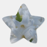 White Hyacinth Flowers Sticker