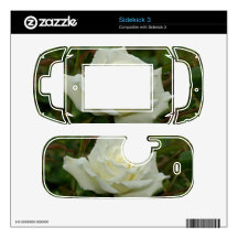 White Hybrid Tea 'Mrs. Herbert Stevens' Rose Decal For The Sidekick 3