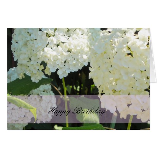 White Hydrangea Birthday Wishes Card | Zazzle