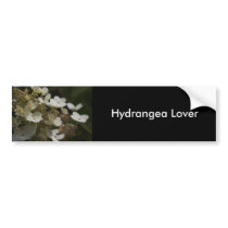 White Hydrangea bumper stickers