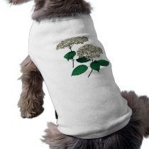 White Hydrangea Clusters pet clothing by SusanSavad White Hydrangea Clusters pet clothing