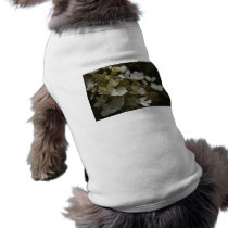 White Hydrangea pet clothing by Flowerpixels White Hydrangea pet clothing