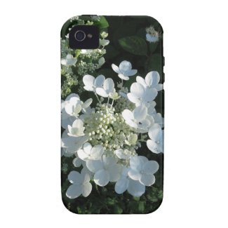 White Hydrangea iPhone 4 Cover