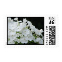 white hydrangea postage by iiiyaaa white hydrangea postage