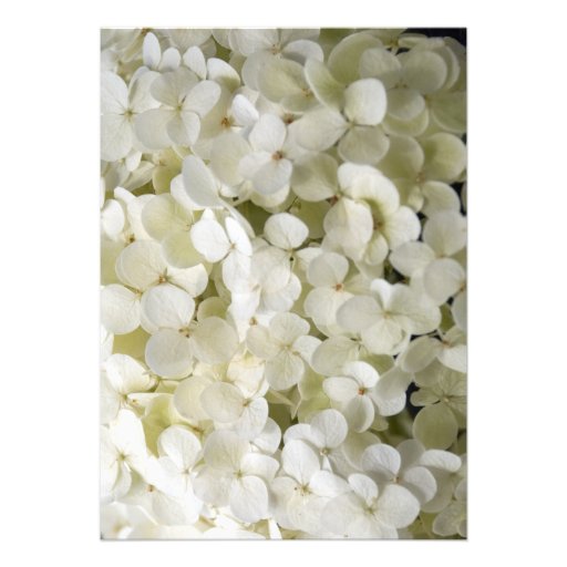 White Hydrangea Rehearsal Dinner Invitation