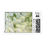 wedding postage stamps, save the date postage